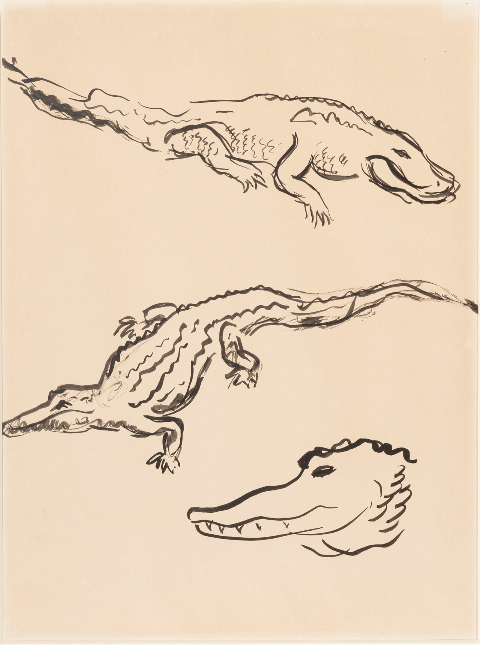Alexander Calder (American, 1898-1976) Ink Drawing on Paper, Ca. 1925, 'Three Crocs', H 12" W 9": Alexander Calder (American, 1898-1976) Ink Drawing on Paper, Ca. 1925, 'Three Crocs', H 12" W 9" Frame Size: H 17.125" W 14.125" Unsigned. Ink on paper study of a crocodile in three views. Sheet size: