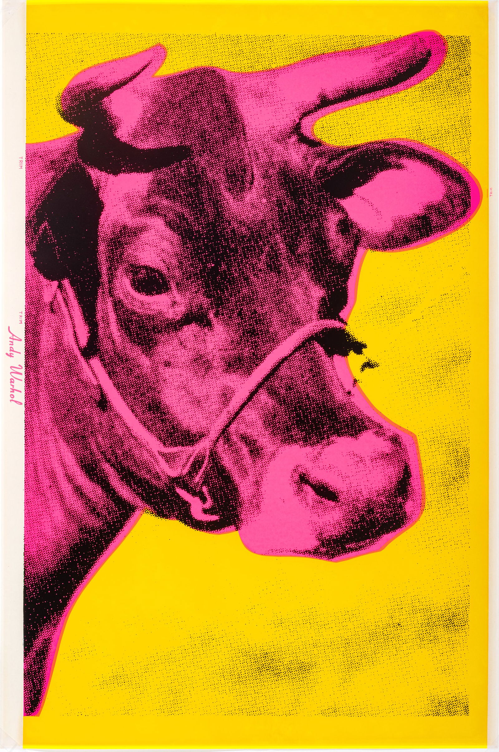 After Andy Warhol (American, 1928-1987) Screenprint in Colors on Wove Paper 1966, 'Cow', H 45.5" W (1 of 7)