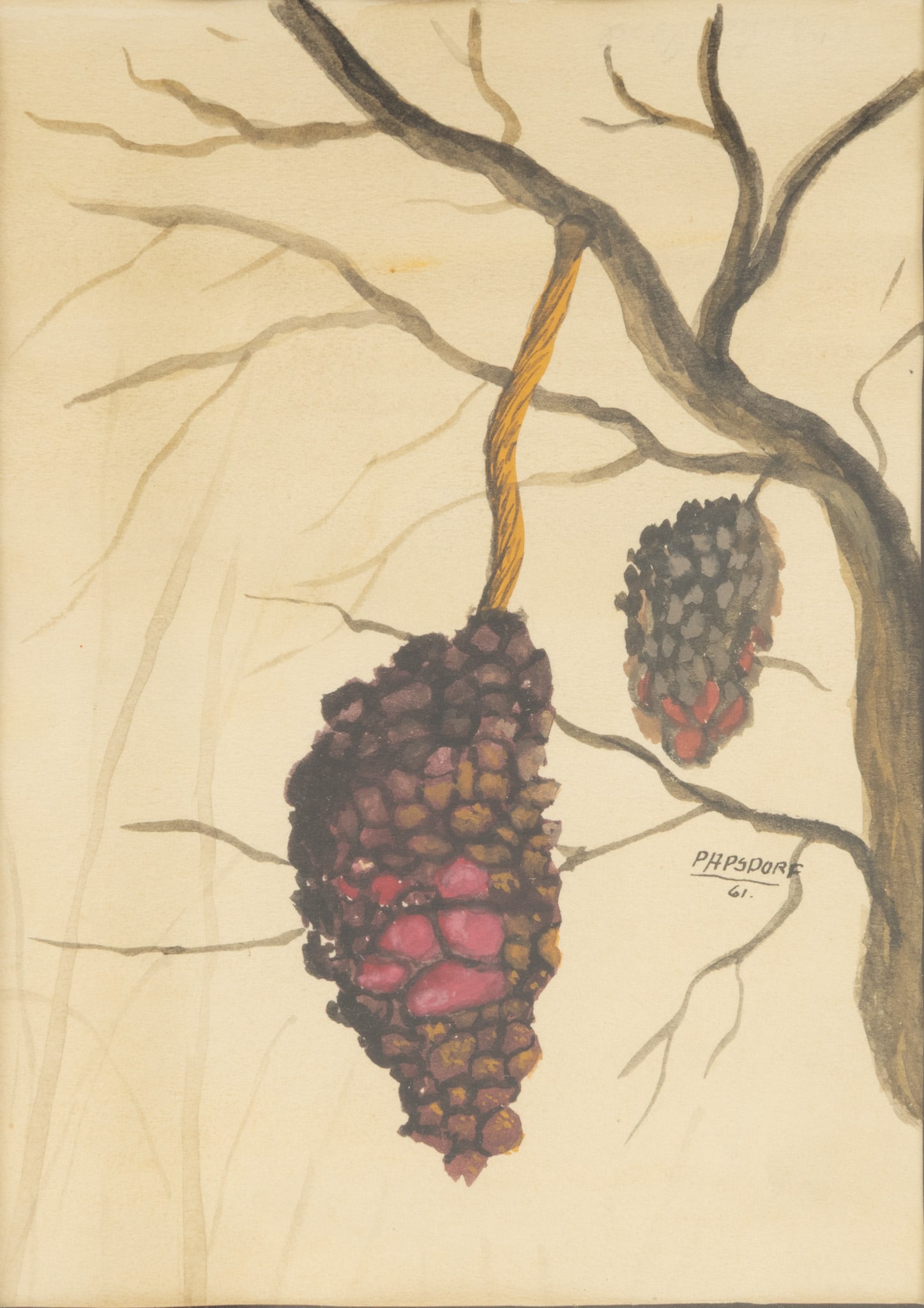 Frederick Papsdorf (American, 1887-1978) Watercolor on Artist Board 1961, 'Hornet Nests', H 7.5" W: Frederick Papsdorf (American, 1887-1978) Watercolor on Artist Board 1961, 'Hornet Nests', H 7.5" W 5.5" Frame Size: H 13" W 11" Signed and dated lower right. Depicting two hornets nests from tree bran