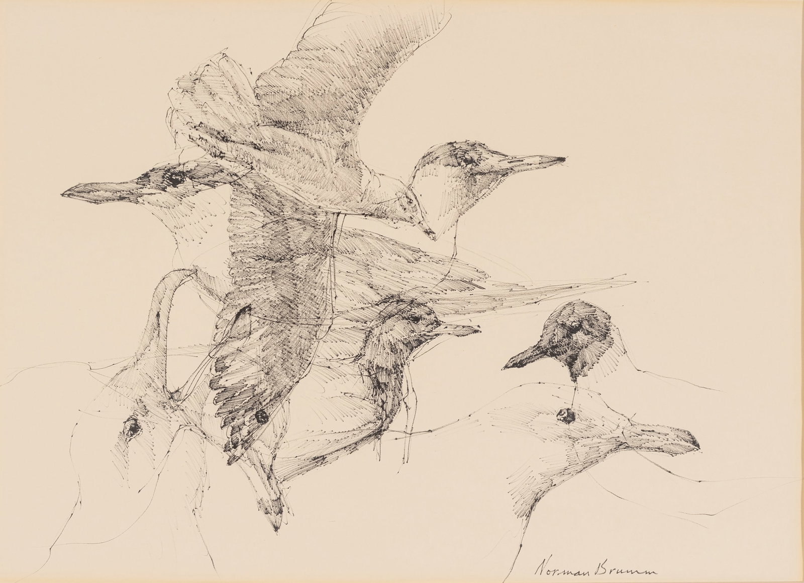 Norman Brumm (American/Michigan, 1938-2008) Ink Drawing on Paper 'Seagulls', H 15" W 21.5" (1 of 5)