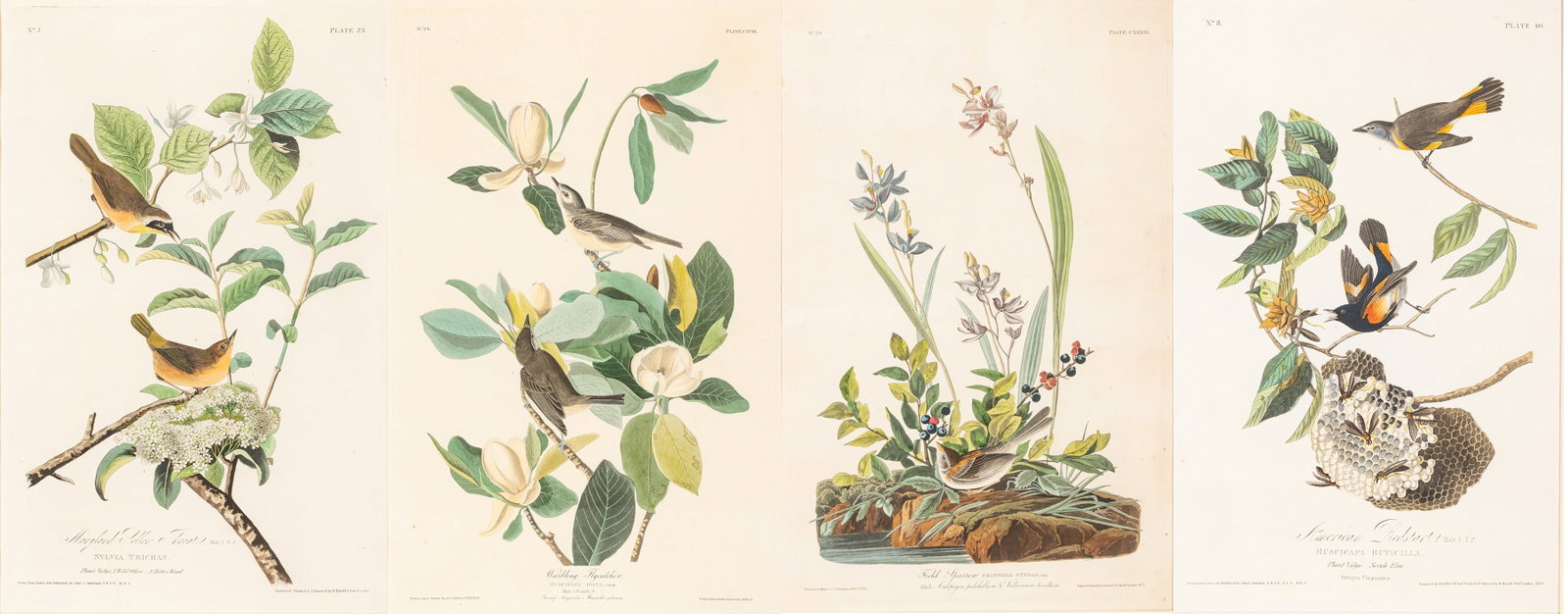 After John James Audubon (American, 1785-1851) Hand Colored Engravings with Etching and Aquatint on (1 of 10)