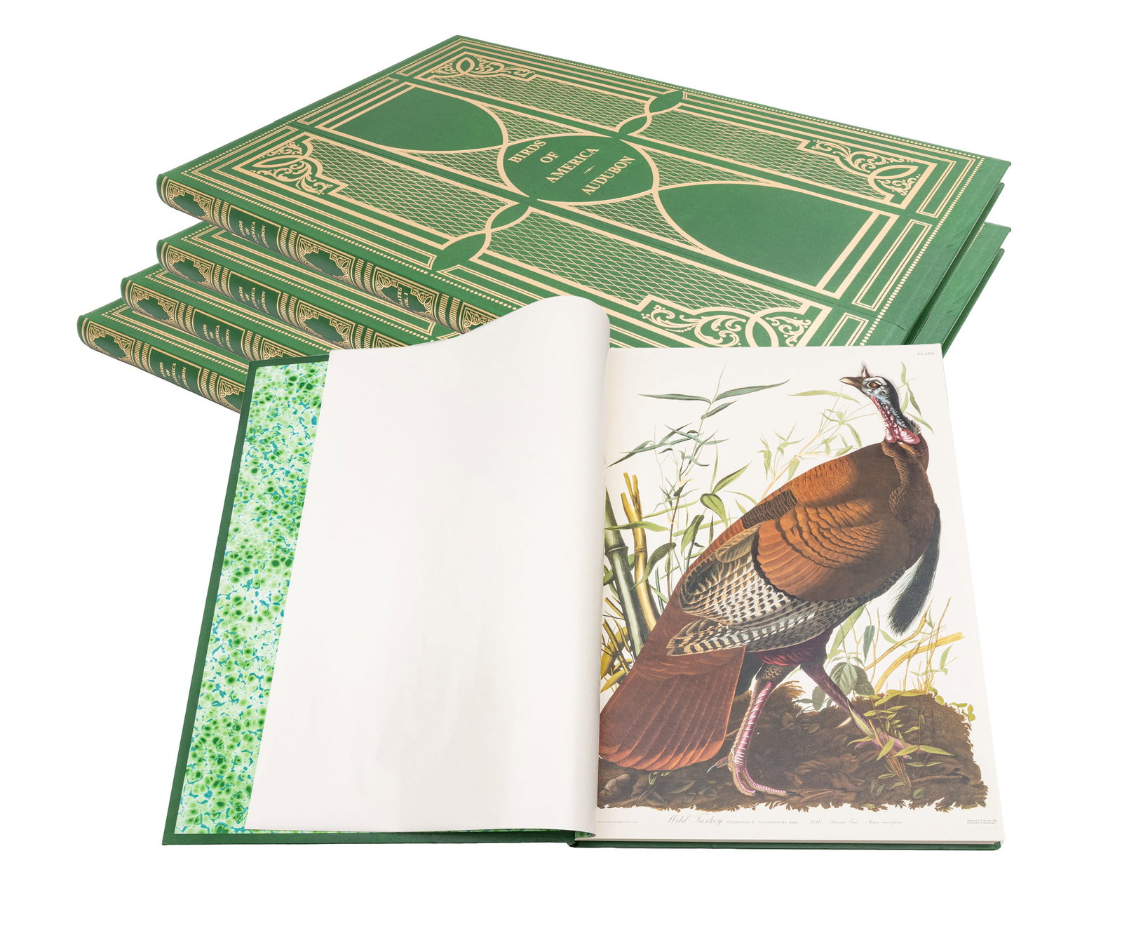 After John James Audubon (American, 1785-1851) 4 Elephant Folio Volumes of Plates and 7 Octavo (1 of 17)
