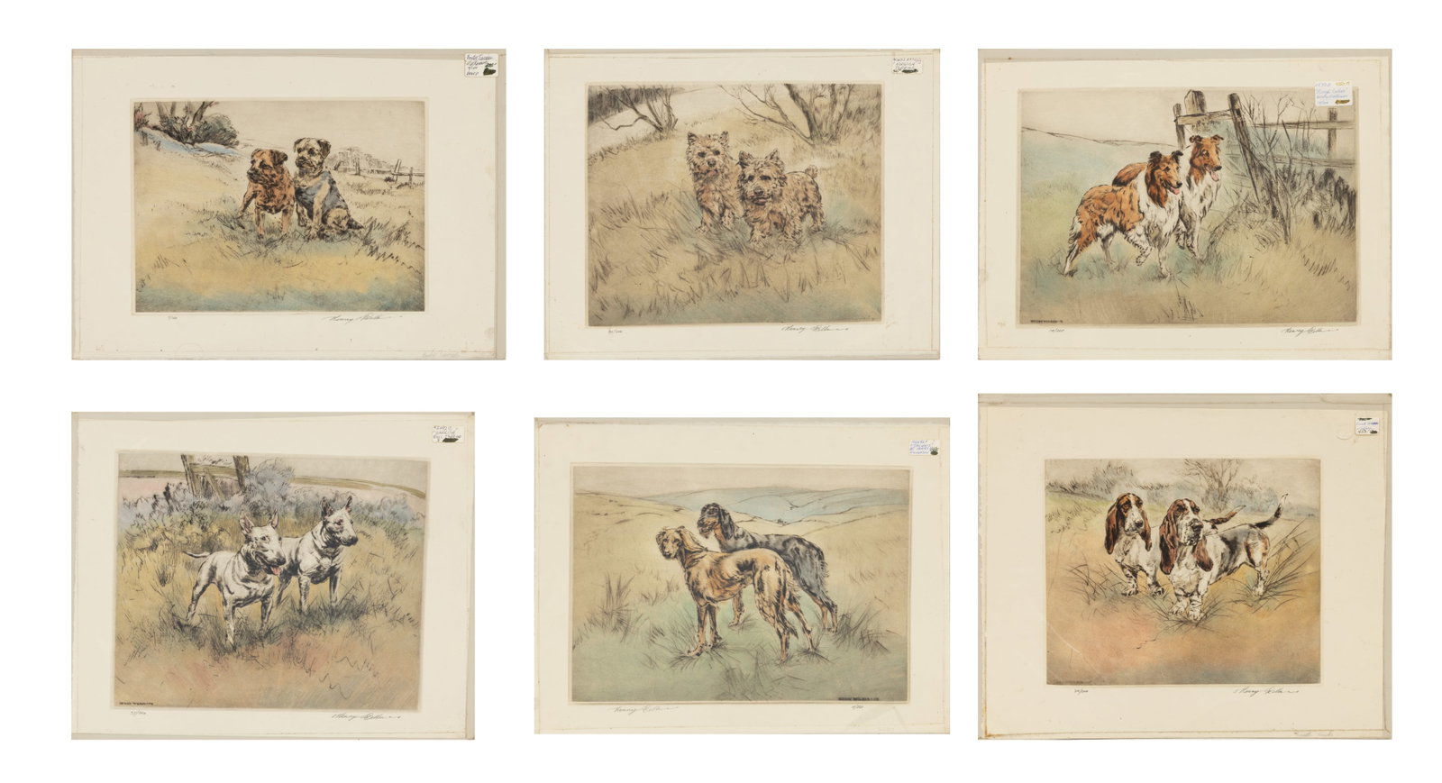 Henry Wilkinson (British, 1921-2011) Hand Colored Etchings on Paper 'Salukis; Royal Callies; English (1 of 7)