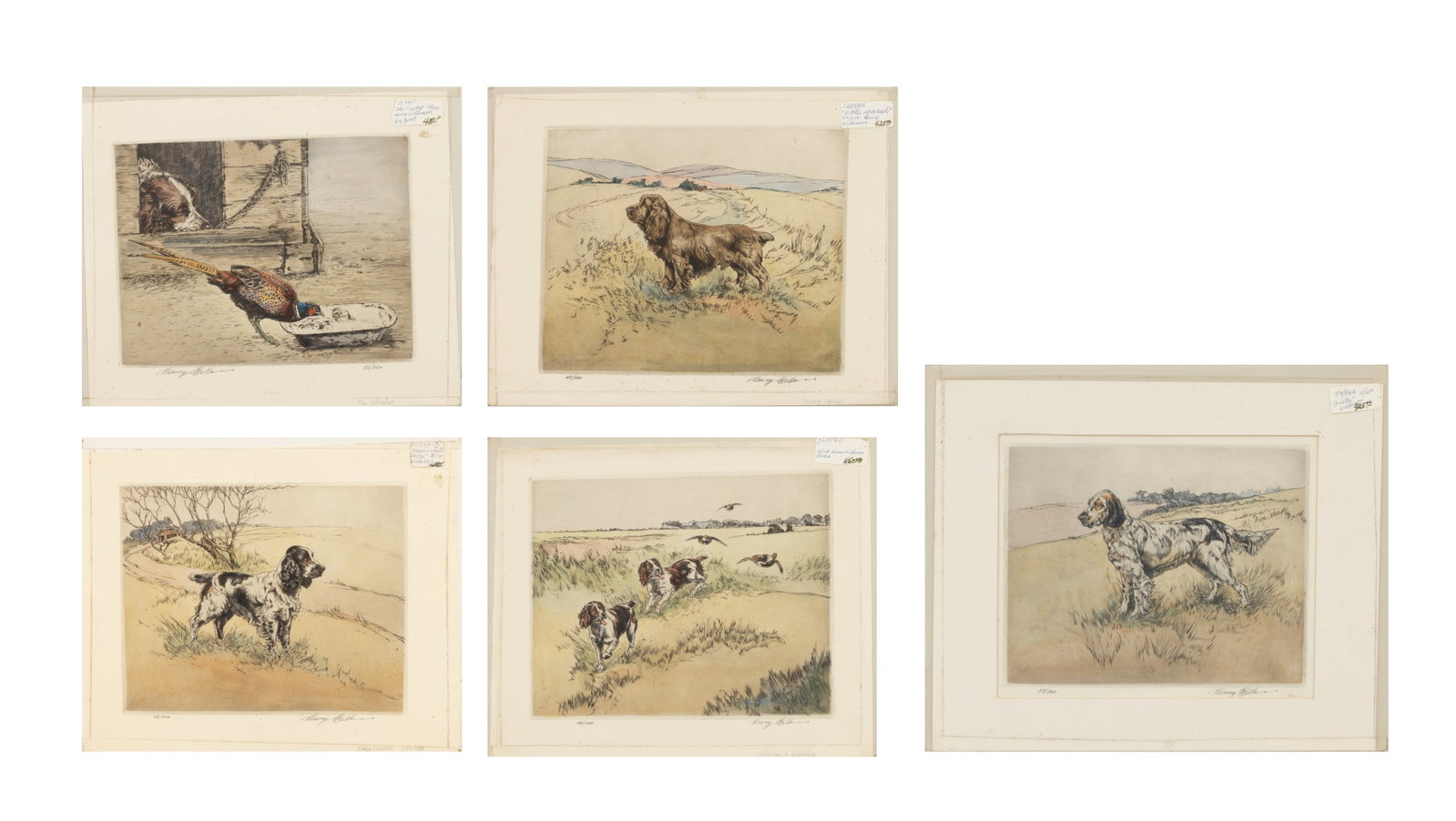 Henry Wilkinson (British, 1921-2011) Hand Colored Etchings on Paper 'Black and White Cocker; English (1 of 14)