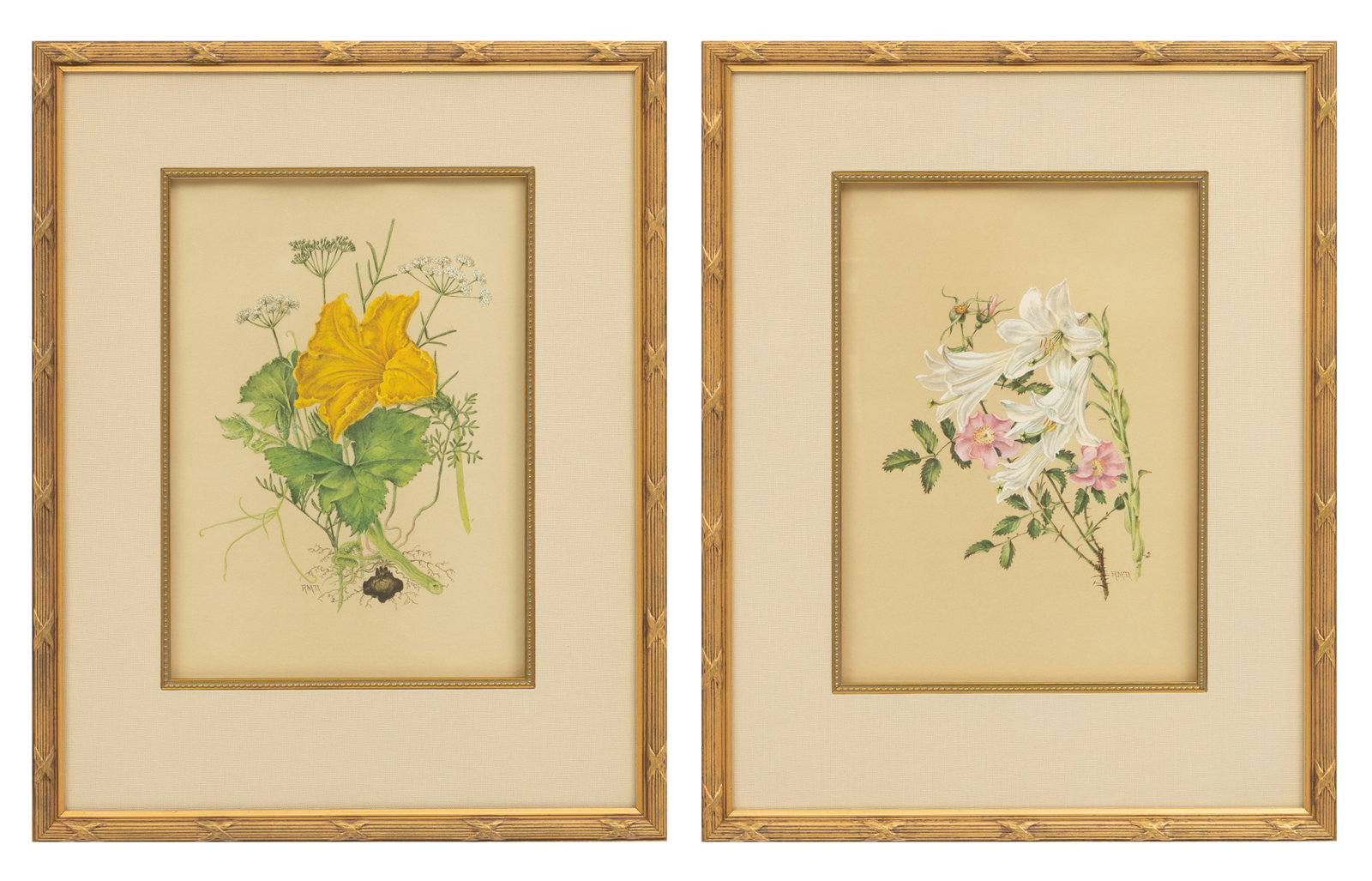 Rosa M. Townes (American, 1827-1909) Hand Colored Engravings on Paper 1974, 'The Plant Lore of (1 of 10)