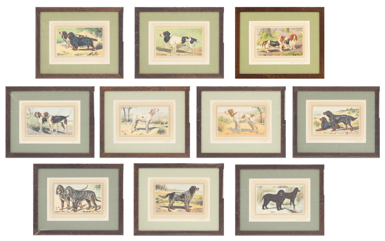 Paul Mahler (French, 1864-1923) Offset Chromolithographs on Paper, Ten Dogs from 'Les Chiens, Le (1 of 11)