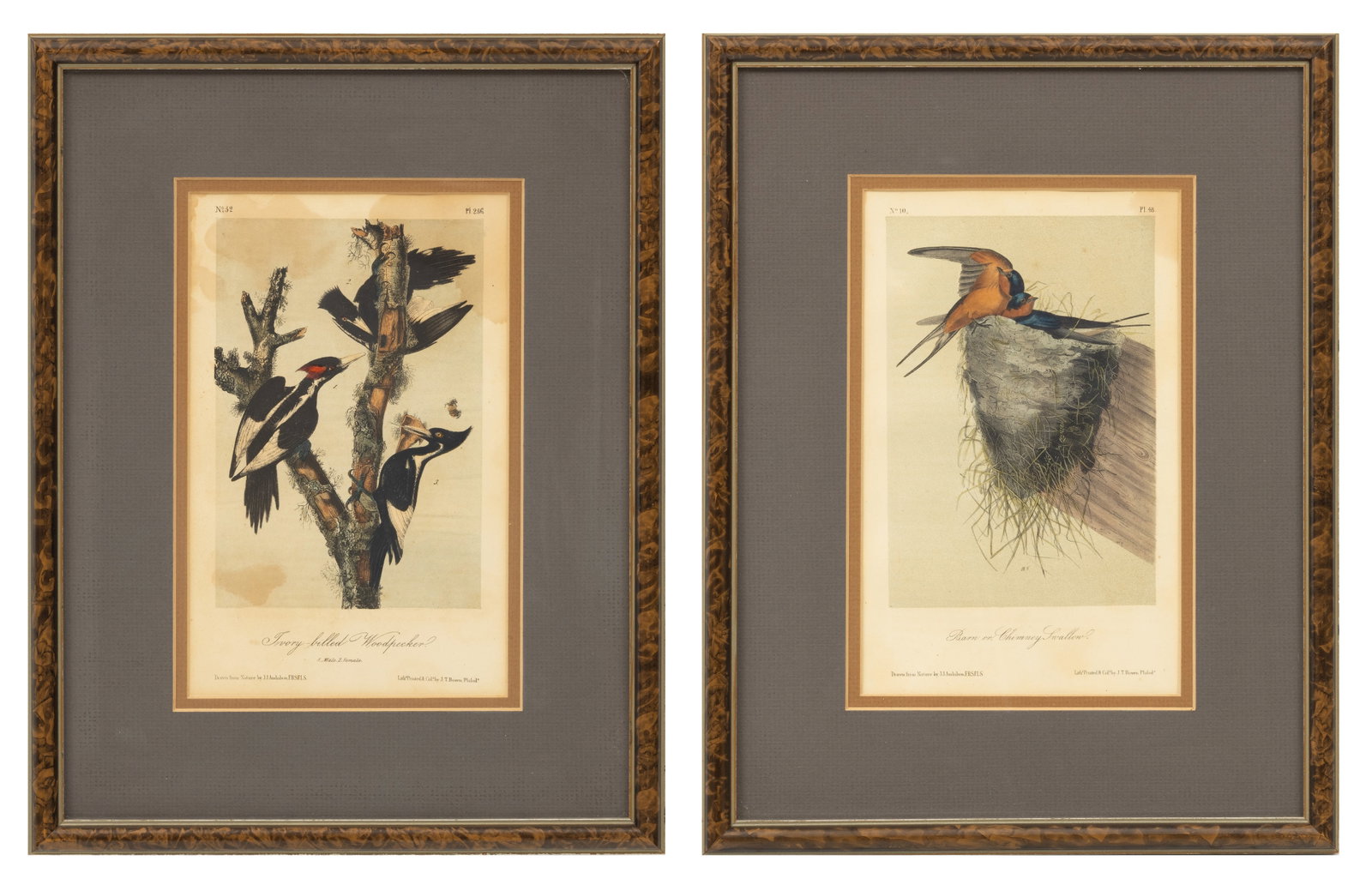 John James Audubon (American, 1785-1851) John T. Bowen Engravings on Wove Paper Octavio Editions (1 of 7)
