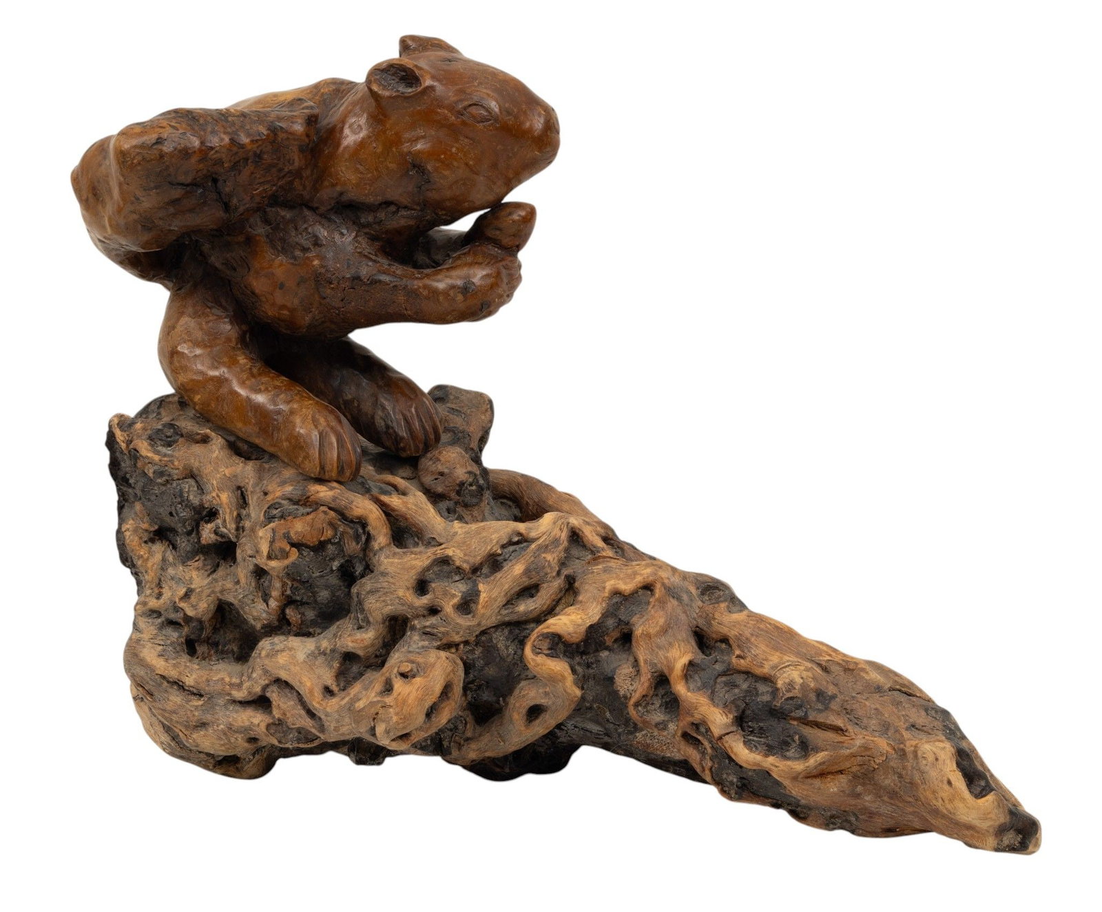 Carved Squirrel on Driftwood H 11" W 14" L 25" 1 PC (1 of 5)