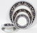 WEDGWOOD 'FLORENTINE DINNER SERVICE, 45 PIECES - 2