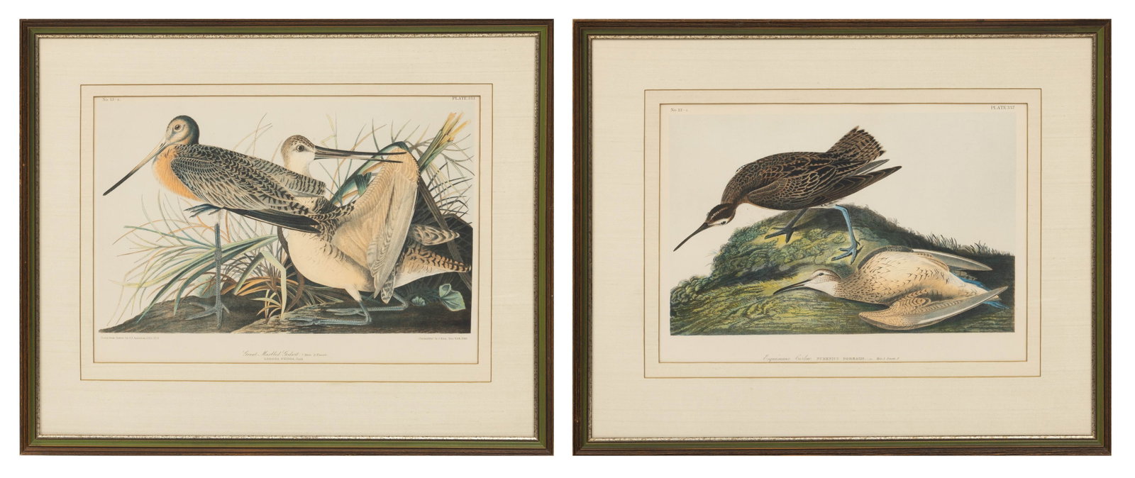 John James Audubon (American, 1785-1851) Chromolithograph on Wove Paper, Ca. 1860, 'Great Marbled (1 of 9)