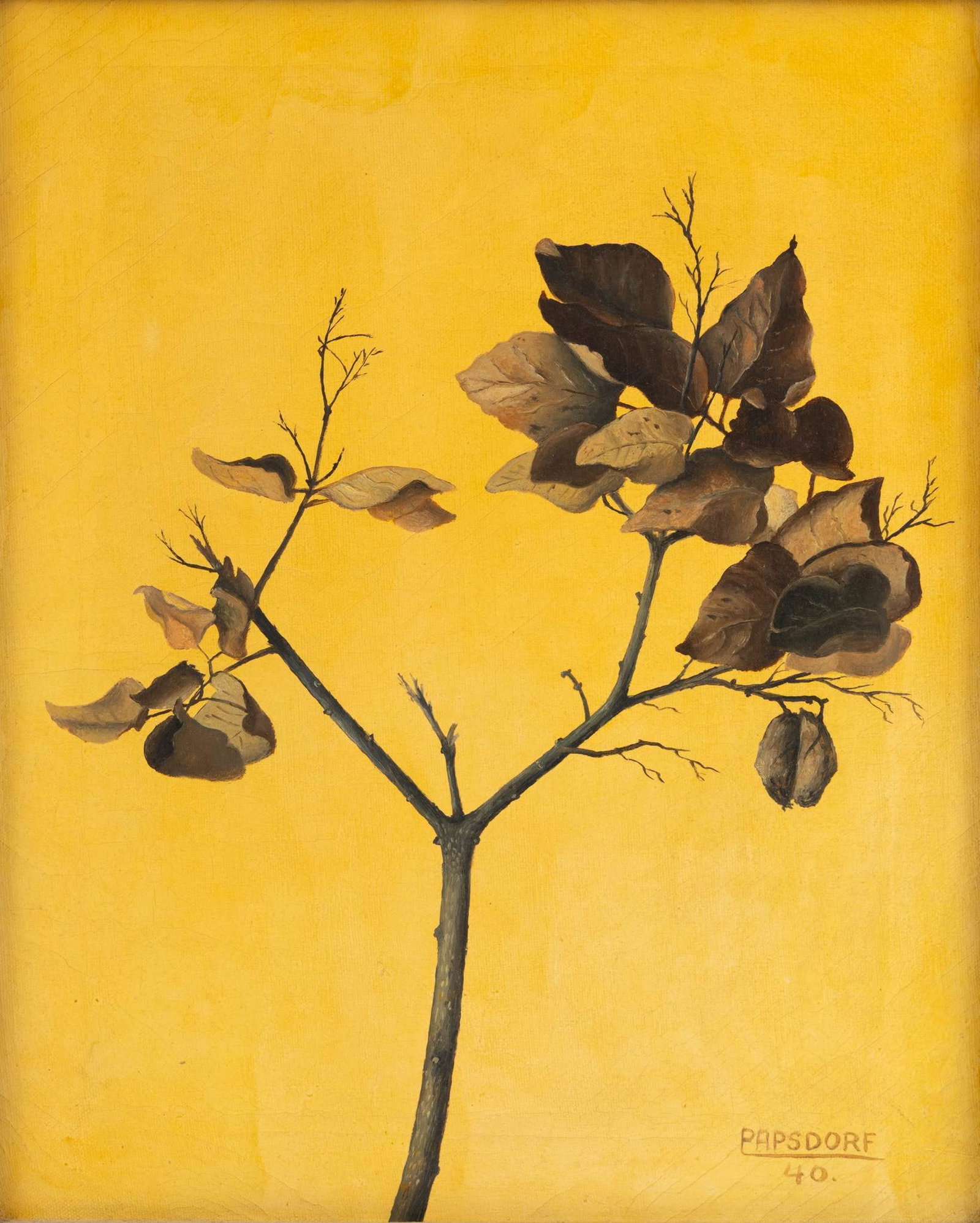 Frederick Papsdorf (American, 1887-1978) Oil on Canvas, 1940, 'Dried Lilac Leaves', H 16" W 12": Frederick Papsdorf (American, 1887-1978) Oil on Canvas, 1940, 'Dried Lilac Leaves', H 16" W 12" Signed and dated lower left. Still life painting of dried lilac leaves on a branch with a yellow backgro