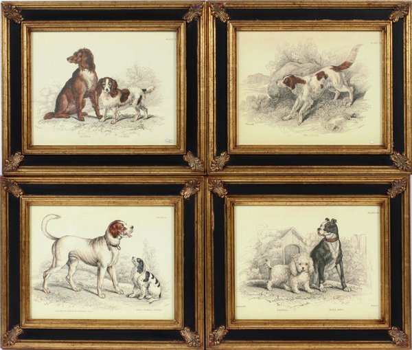 STEWART DOG PRINTS FOUR: STEWART, DOG PRINTS, FOUR, H 8", L 12":Depicting a Cocker and a Setter, Alpine or St. Bernard, King Charles Spaniel, Poodle and Bulldog and another setter; Each framed and matted under glass. Four fra