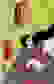 item-25401657=2