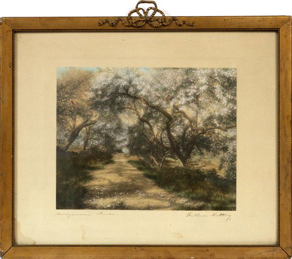 WALLACE NUTTING HAND COLORED PRINT: WALLACE NUTTING, HAND COLORED PRINT, H 11", W 13", HONEY MOON DRIVE:depicts a tree lined lane. Signed lower right margin: "Wallace Nutting". Titled lower left margin: "Honeymoon Drive", framed and mat