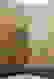 item-35560211=2