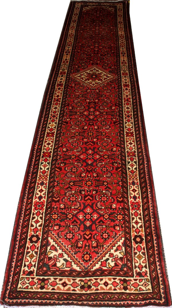 PERSIAN RUNNER (1 of 2)