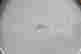 item-42157199=3