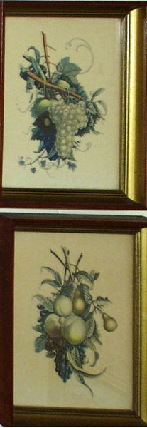 VICTORIAN PRINTS, 'FRUIT BOUGHS', 12" X 9 1/2": VICTORIAN HAND-COLORED PRINTS, 'FRUIT BOUGHS', PAIR, LATE 19TH CENTURY, 12" X 9 1/2":Each under glass and framed.