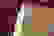 item-43921417=3