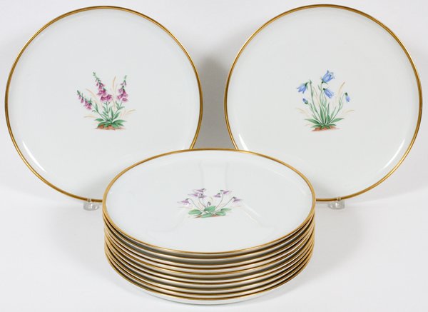 VIENNA HAND PAINTED PORCELAIN PLATES TWELVE (1 of 3)