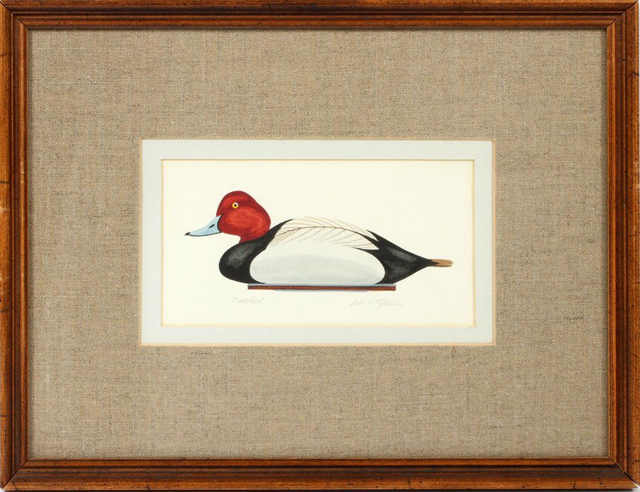 WILLIAM P TYNER COLOR LITHOGRAPH OF A DUCK DECOY: WILLIAM P TYNER, COLOR LITHOGRAPH OF A DUCK DECOY, H 5", W 8", 'RED HEAD':Depicts a Red Head duck decoy. Framed and matted. Inscribed in pencil: "Red Head" lower left. Pencil signed Wm. P. Tyner lower