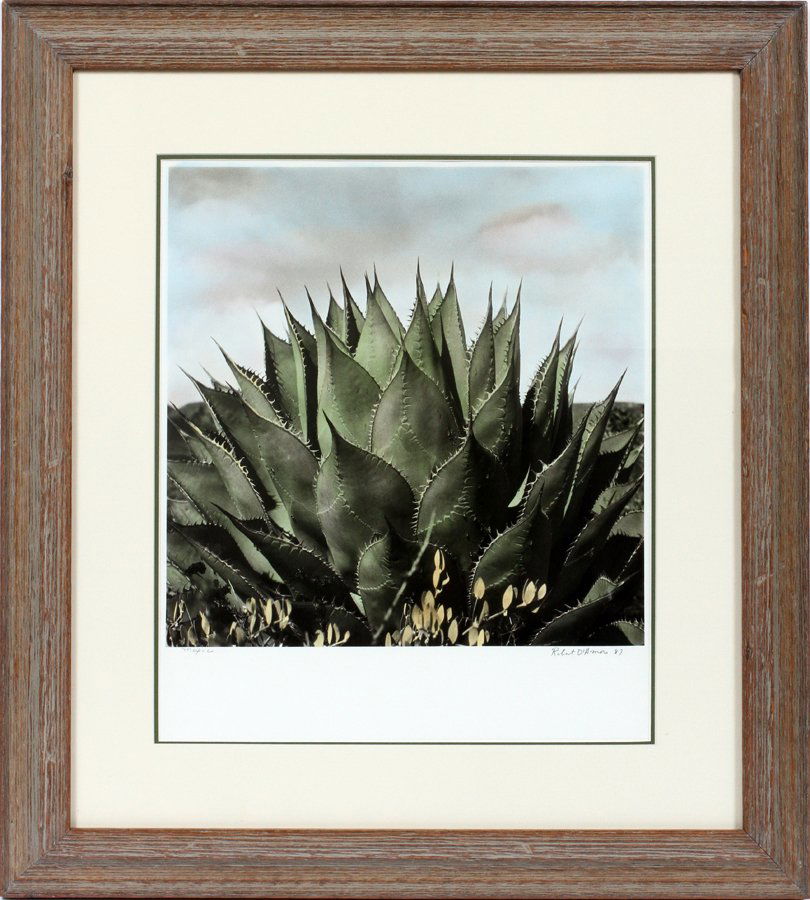 ROBERT D'AMORE GELATIN SILVER PRINT 1989 (1 of 3)