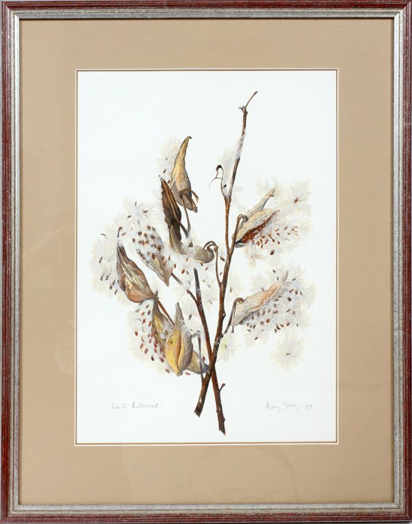 MARY GRAY WATERCOLOR WINTER MILKWEED 1987 (1 of 5)