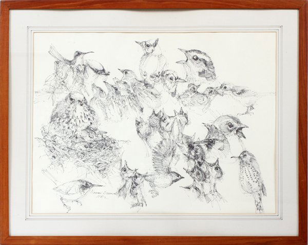 NORMAN BRUMM INK DRAWING YOUNG BIRDS (1 of 4)