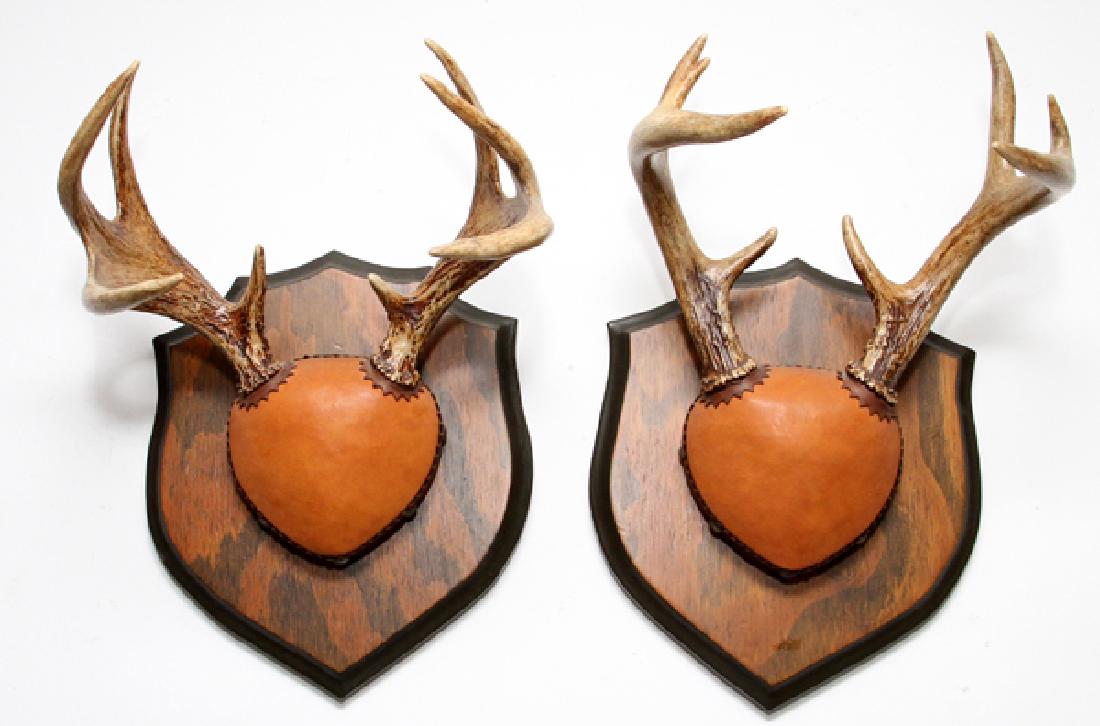 DEER ANTLERS PAIR: DEER ANTLERS, PAIR, H 14", W 10":A pair of 8-point deer antlers on leather covered bases and applied to wood plaques. From the Estate of Daniel Clancy, Voltaire Place, Grosse Pointe Farms, MI.