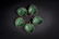 Five Plum-blossom Cups - 2