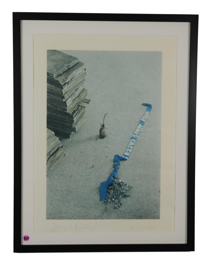 Joseph Beuys "Vitex Agnus Gastus" 767/1000 (1 of 3)