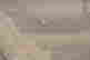 item-64100861=3