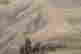 item-64100861=4