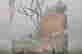 item-64100873=3