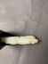 Small Chinese Carved Jade Shou & Boy, 18-19th Century - 3