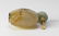 Carved Agate Lotus Pond Scene Snuff, 19th Century - 6
