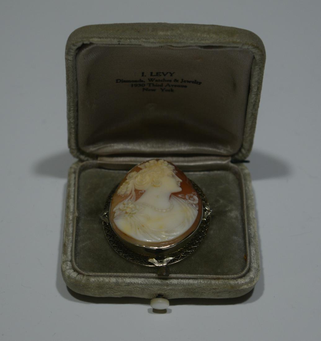 Victorian Shell Cameo in 14K White Gold: Victorian shell cameo in 14K white gold. Nicely detailed shell cameo in 14K white gold filigree setting. Total weight: 10.9 g (0.35 troy oz). Dimensions are: 1.5 inches wide X 19.375 inches tall. All 