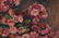 Francis Focer Brown Oil Board Painting Pink Daisy - 4
