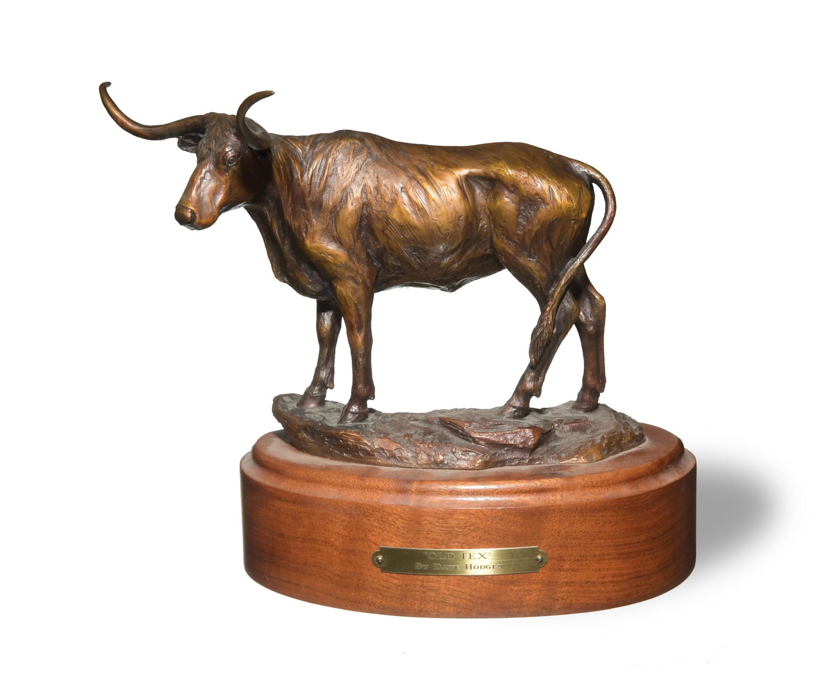'Old Tex' Bronze Sculpture by Dave Hodges: Dave Hodges (American, b. 1949) bronze, wooden stand, no. 40/50. A bronze cattle statue mounted on a wooden stand with a plaque stating 'Old Tex, By Dave Hodges.' The bronze is signed, dated, and numb