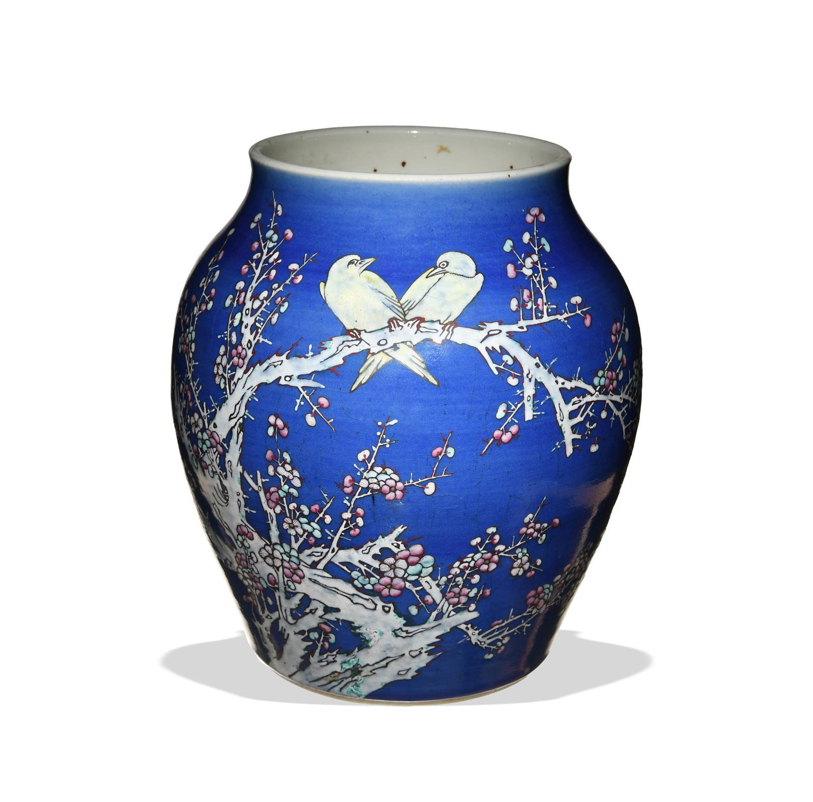Chinese Blue Ground Jar, Guangxu (1 of 10)