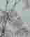 item-108315428=6