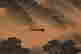 item-110725477=2