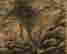 item-110725501=6