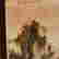 item-129207831=2