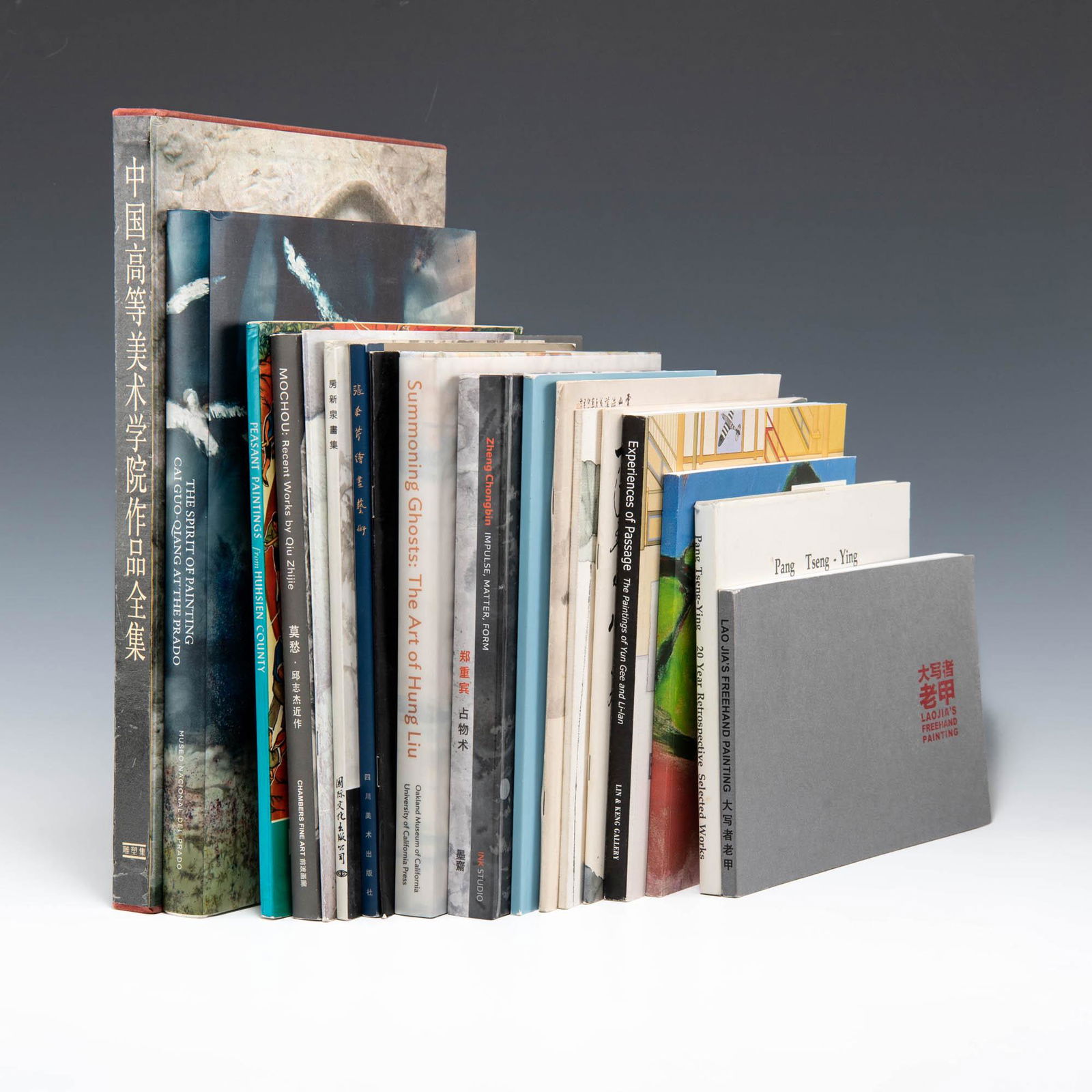 Eighteen books on contemporary Chinese art and artists: Eighteen books on contemporary Chinese art and artists The Spirit of Painting: Cai Guo-Qiang at the Prado; A State of Transition: Contemporary Painting From Shanghai; Liu Kuo-Sung; Pang Tseng - Ying: