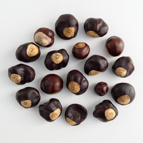 Eighteen Chinese zisha imitation chestnuts, Contemporary