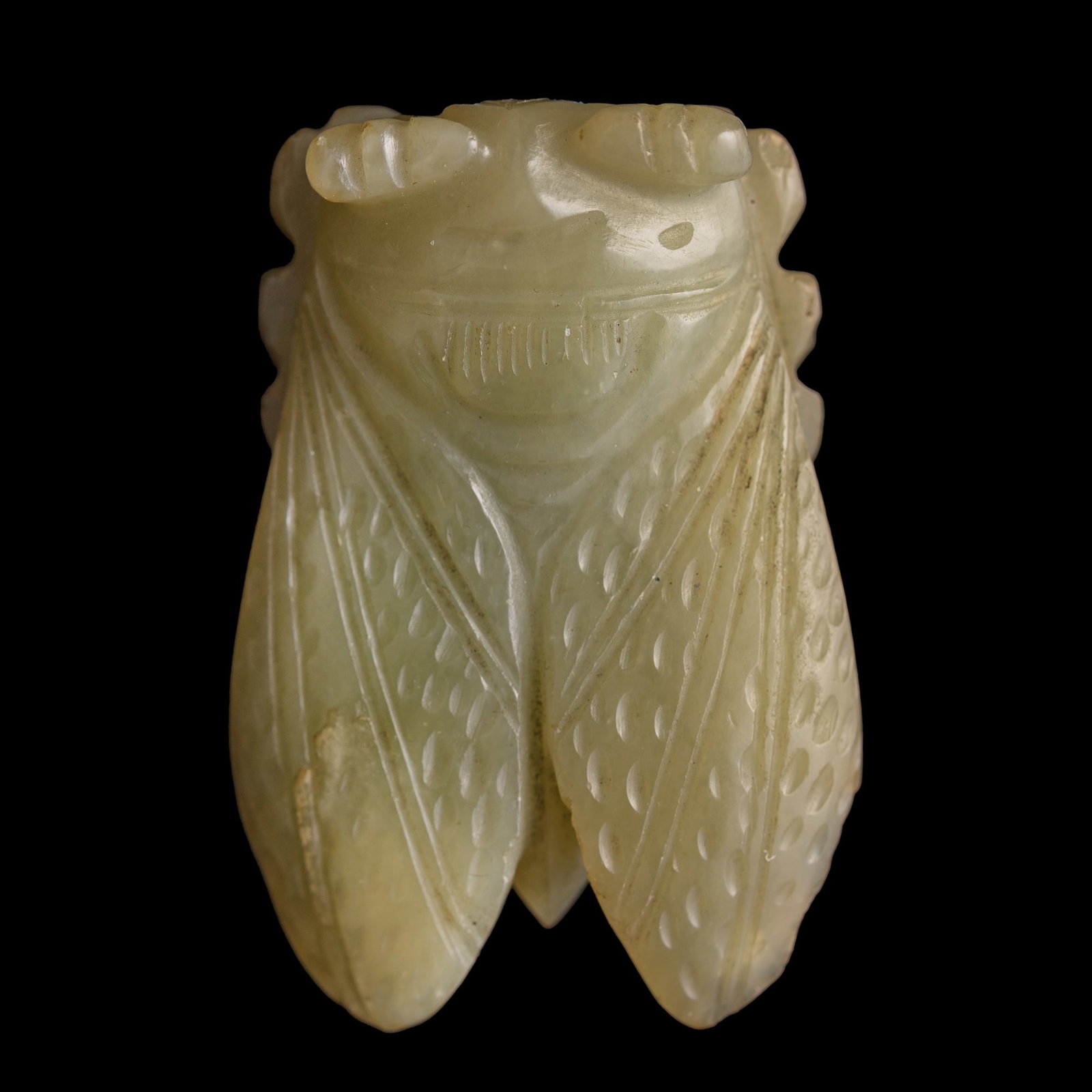 A Chinese jade carving of a cicada, 19th century (1 of 6)