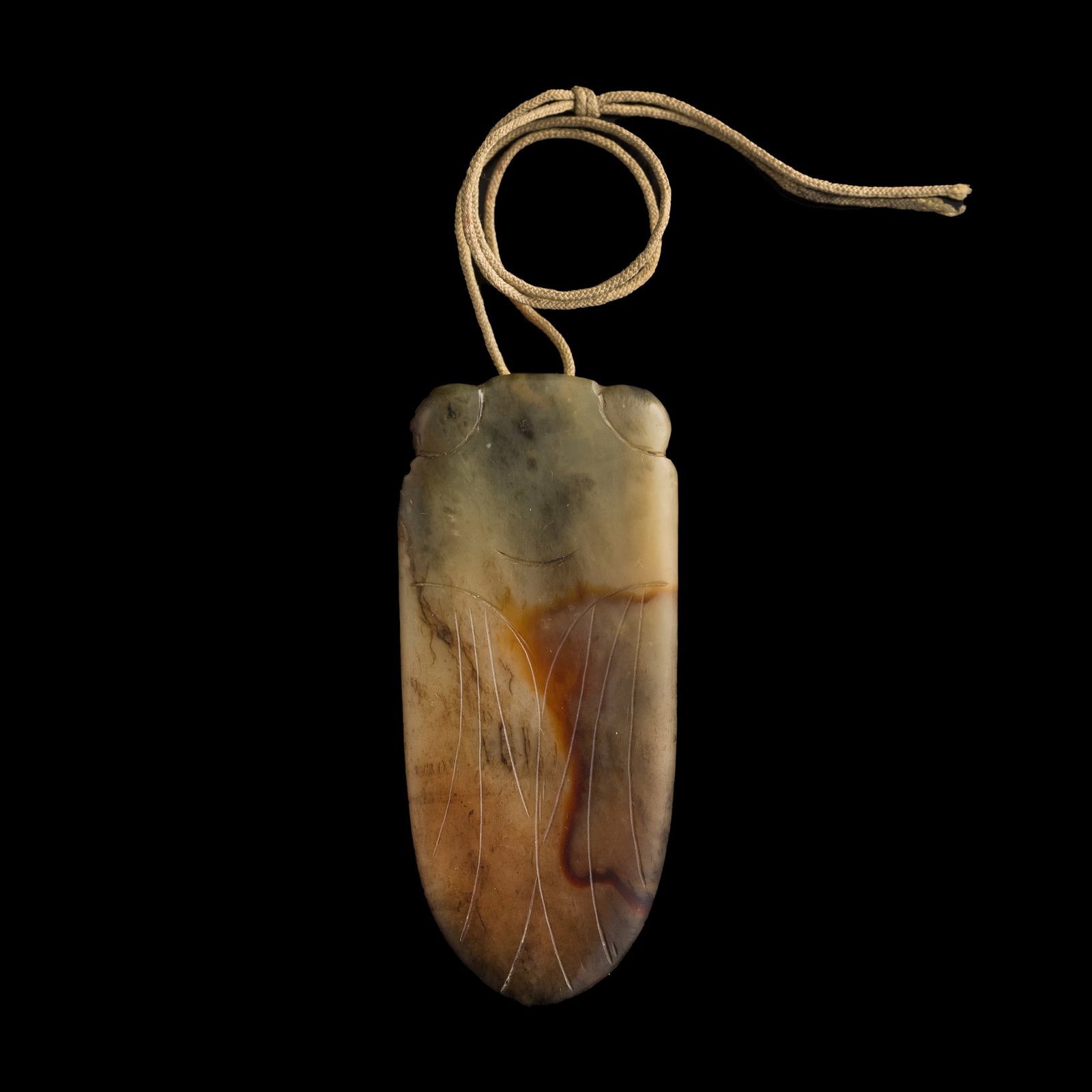 A Chinese jade cicada, Ming dynasty: A Chinese jade cicada Ming dynasty H: 2 3/4, W: 1 7/8, D: 1/8 in. (H: 7, W: 4.8, D: 0.3 cm.) From the estate of Dr. Reno W. Backus (1901–1979), who served as a medical missionary in China during the
