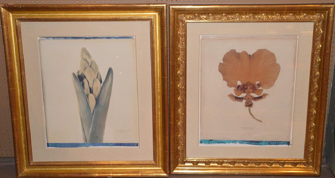 Collection of 6 Prints by Linda Broadfoot (1 of 14)