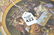 Pair Vienna Handpainted Porcelain Cabinet Plates each - 9